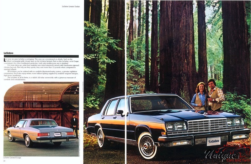 1981 Buick Brochure Page 17